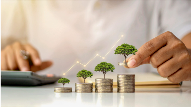 Wealth Planning