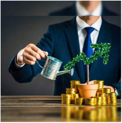 Wealth Planning