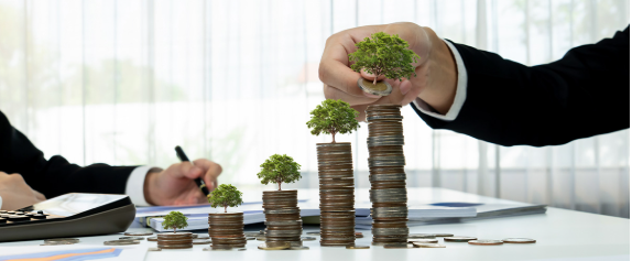 Wealth Planning